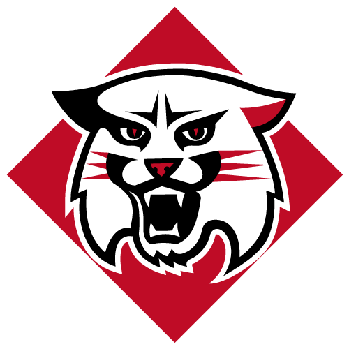 Davidson Wildcats